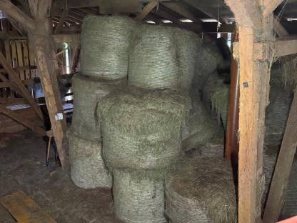 Bild 5:BIO Heuballen 2. Schnitt