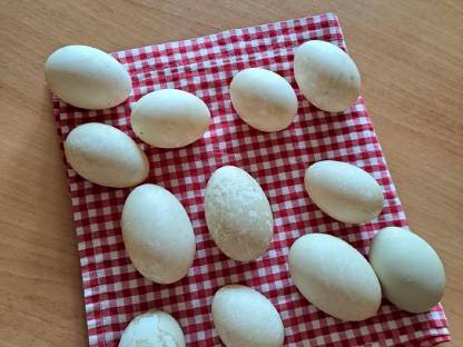 Bild 2:Bio Peking Ente Bruteier