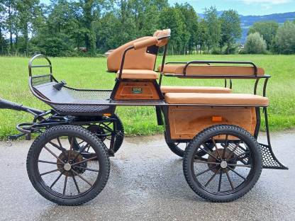 Pferdekutsche/Marathonwagen