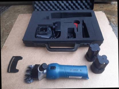 Bild 2:Schermaschine für Schafe