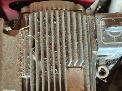 Bild 5:Epple Blasius 940 Häcksler, Kräuterschneider