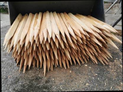 Bild 3:Lärchenstempel