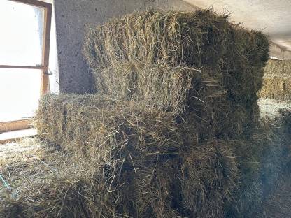 Bild 3:Heuballen