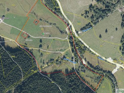 Verpachtung Landwirtschaft (ohne Gebäude) bei Schladming