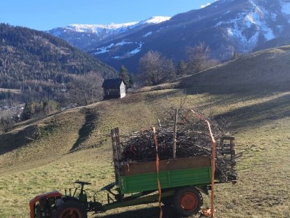 Bild 3:Einachser-Schlepper Agria