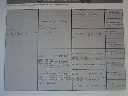 Bild 2:Kuhkalb Angus