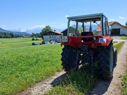 Bild 4:Massey Ferguson 253