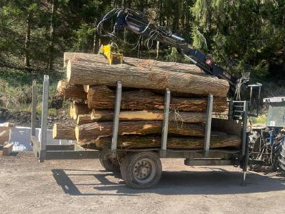 Bild 6:Krananhänger Eigenbau