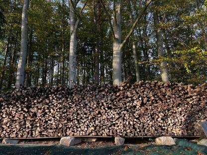 Bild 2:Brennholz Buche, Birke, Fichte, Erle