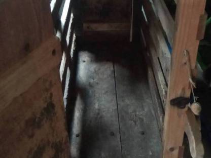 Bild 4:Saustaing Transport Box Junggesellenabschied