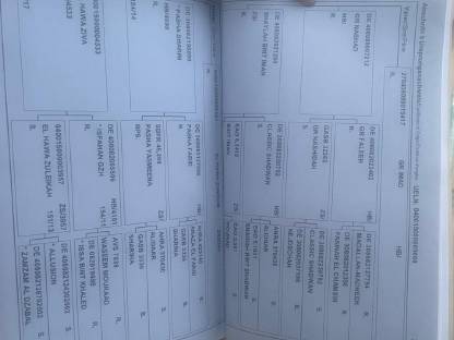 Bild 6:Ich verkaufe meinen 4-jährigen Vollblutaraber-Wallach, rein ägyptisch