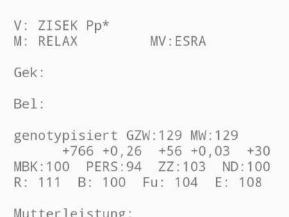 Bild 2:Verkaufe Fleckviehstiere