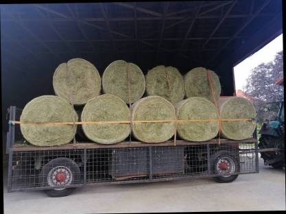 Bild 2:Bio Heu Rundballen Heuballen