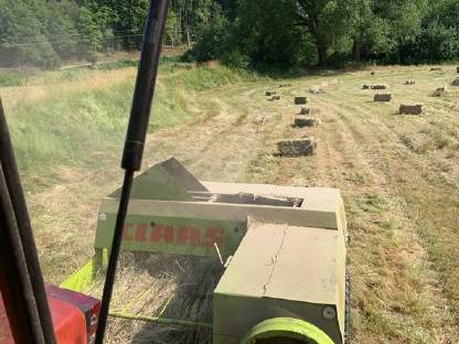 Claas Markant 65