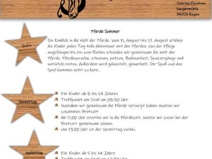 Ferienprogramm mit Pferd im Sommer