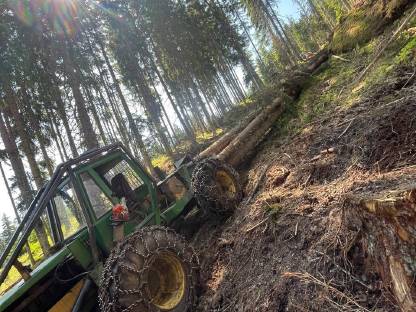 Bild 2:Forstschlepper Lauer