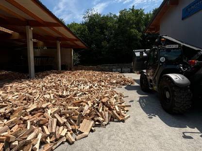 Bild 2:Buchen-Eschen Brennholz