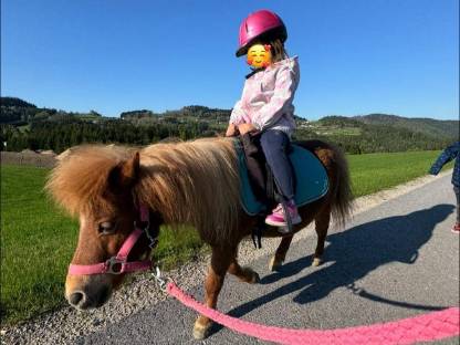 Biete Reitunterricht/Ponyreiten