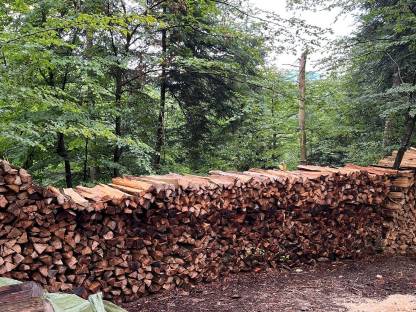 Brennholz Buche 1 m Scheiter