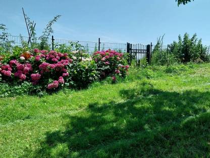 Gemüsegarten