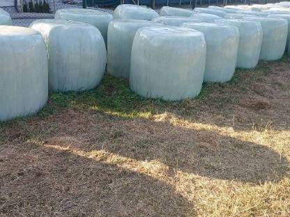 Bild 2:Ballen günstig abzugeben