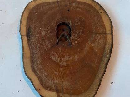 Bild 3:Rehbrett, Eibe, Brettchen, Rehbock, Geweih, Trophäen, Jagd