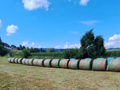 Bild 3:Pferdeheu - Bio Heusilage