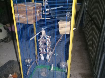 Bild 2:Große Voliere mit Zubehör