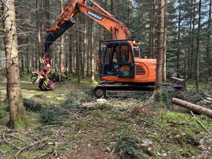 Prozessorbagger Doosan DX140