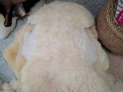 Bild 3:Lammfelle, Schaffelle