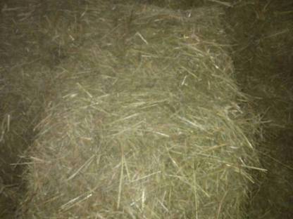 Bild 2:Heuballen