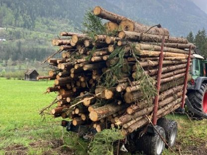 Bild 4:Forstanhänger 16 t Rückewagen ohne Kran