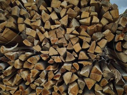 Bild 2:Brennholz