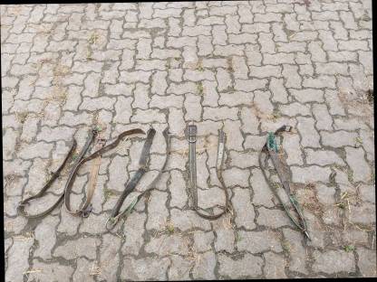 Bild 2:Ketten + Halsbänder