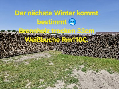 Brennholz Weißbuche, trocken