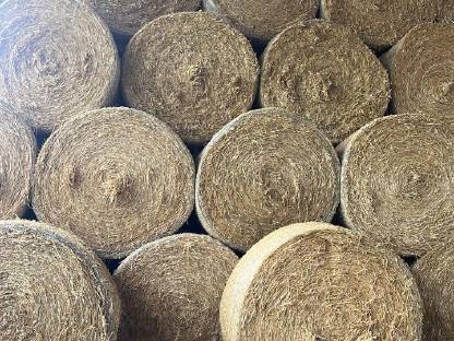Bild 3:Stroh und Heu