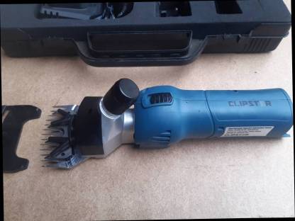 Bild 3:Schermaschine für Schafe