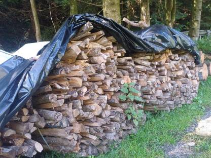 Bild 2:Brennholz
