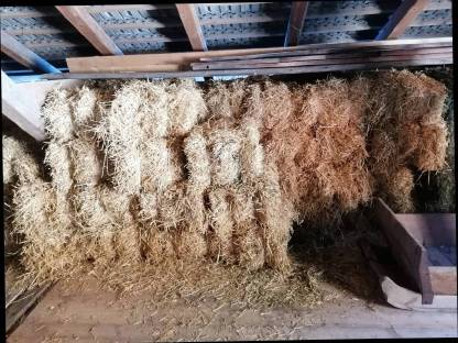 Bild 2:Verkaufe Kleinstrohballen Gerste