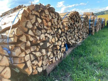 Brennholz, Kaminholz Buche
