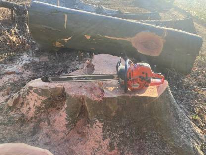 Bild 4:Husqvarna 592XP