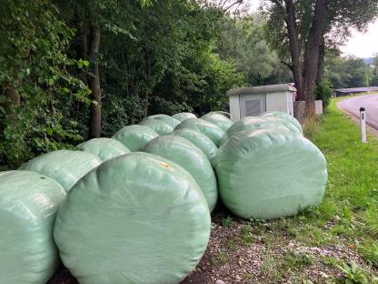 Bild 2:Siloballen 2-3 Schnitt 2025