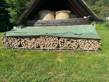 Bild 3:Brennholz