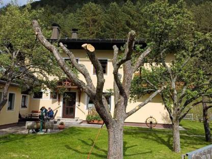 Apfelbaum