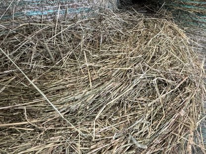 Bild 3:Bio Heu