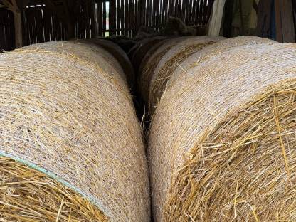 Bild 2:Strohballen