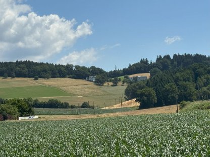 Verpachtung: Lw. Nutzgrund Wiese/Acker/Wald ca. 4,5 ha Eferding