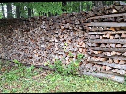 Bild 2:Brennholz
