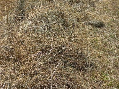 Bild 5:Heuballen zu verkaufen