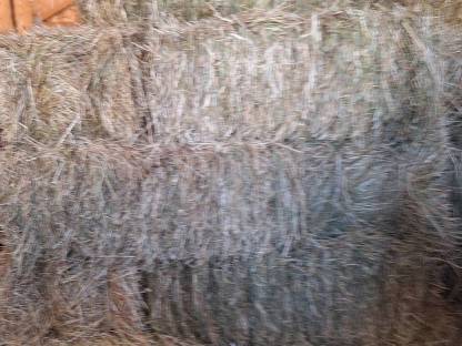 Bild 4:Heukleinballen